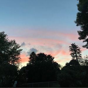 Meet your Posher, Liam